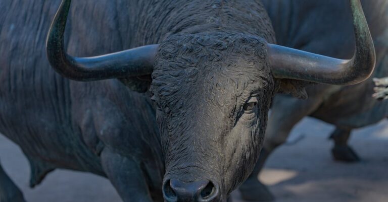 Investor Success Amidst Record Market Gains Demands Prudence Investor Success Amidst Record Market Gains Demands Prudence